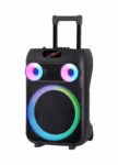 JBR-1206 Professional 12-Inch Trolley Speaker